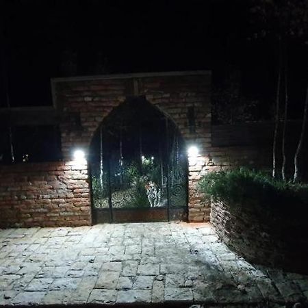Rîşnov Casa Cu Mesteceni מראה חיצוני תמונה