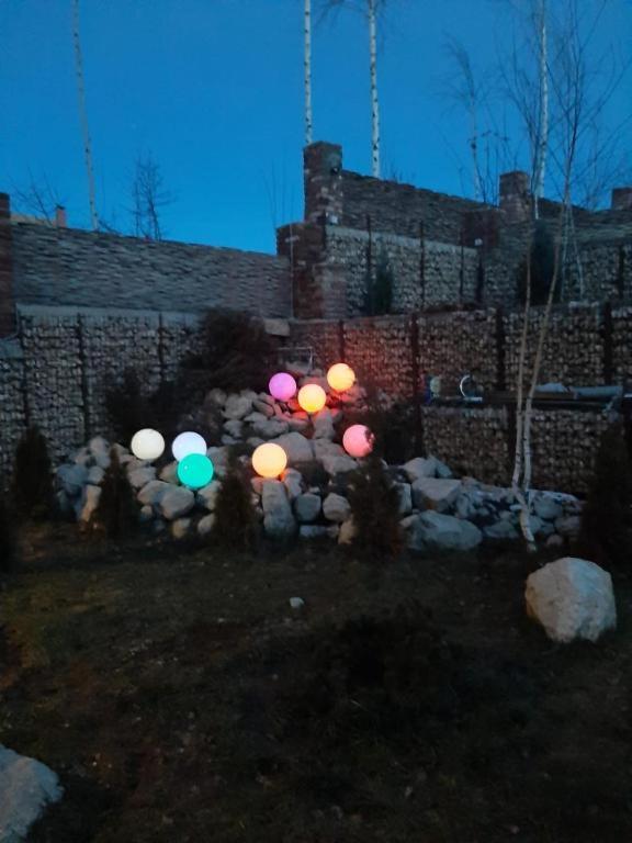Rîşnov Casa Cu Mesteceni מראה חיצוני תמונה