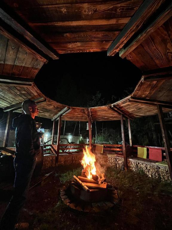 Rîşnov Casa Cu Mesteceni מראה חיצוני תמונה